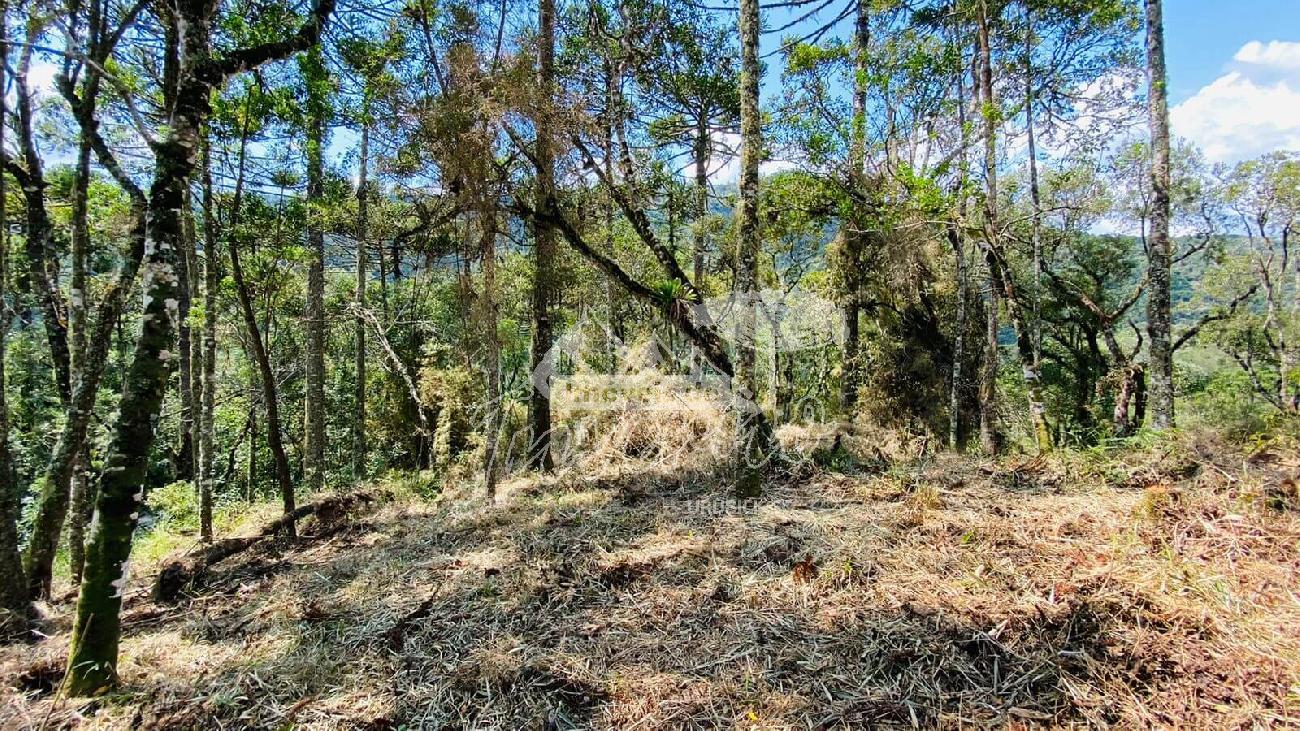 Terreno a Venda - com Excelente Localizao - Serra Catarinense