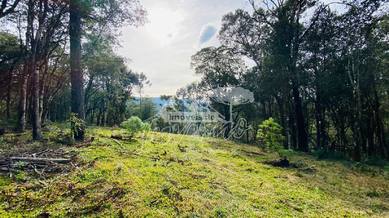 Terreno a Venda - Excelente Localizao - Baiano