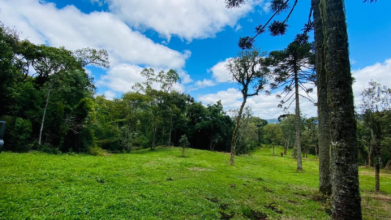 Terreno a Venda - Excelente Localizao - Serra Catarinense 