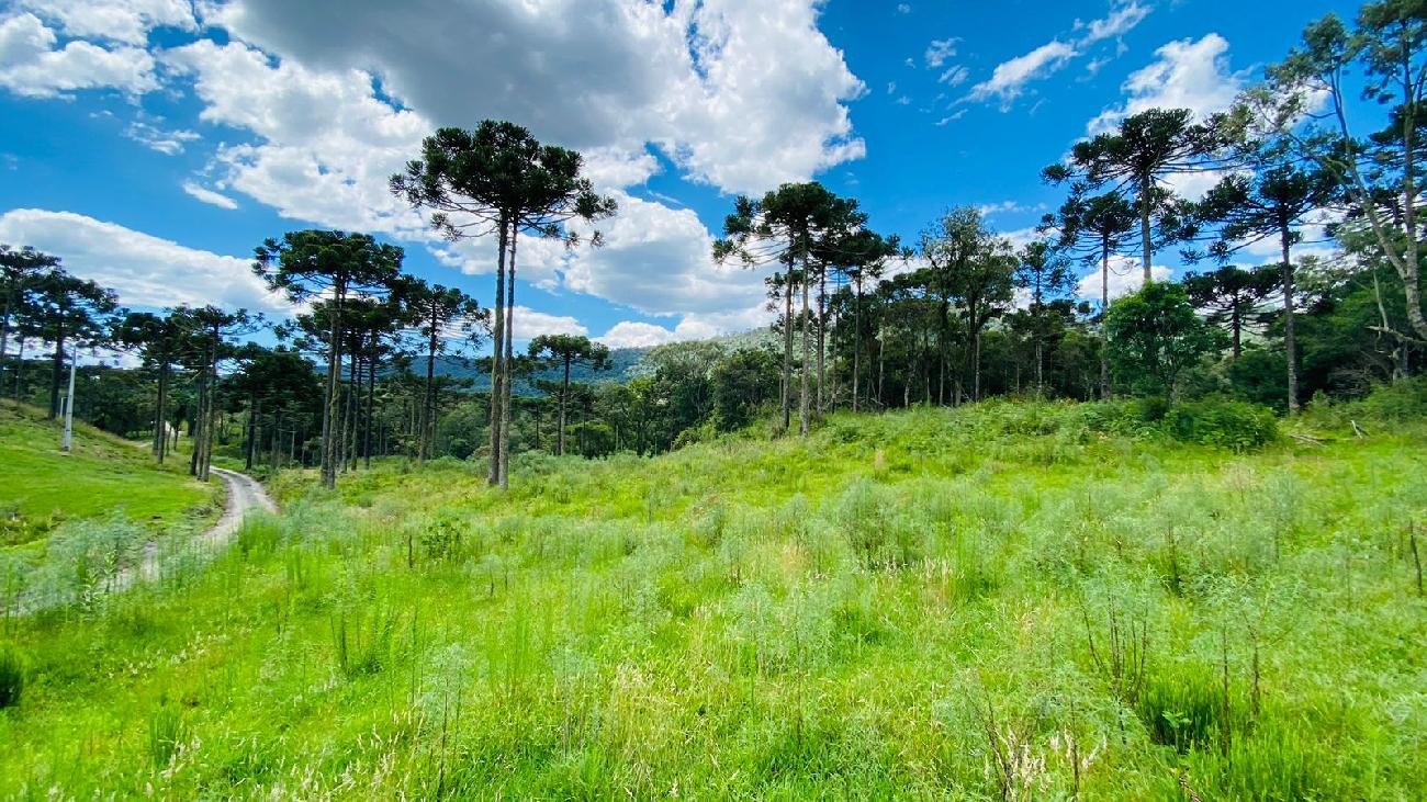 Terreno a Venda - Excelente Localizao - Serra Catarinense 