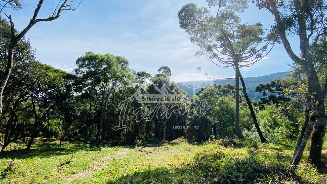 Terreno a Venda - Excelente Localizao - Urubici - Serra Catarinense 