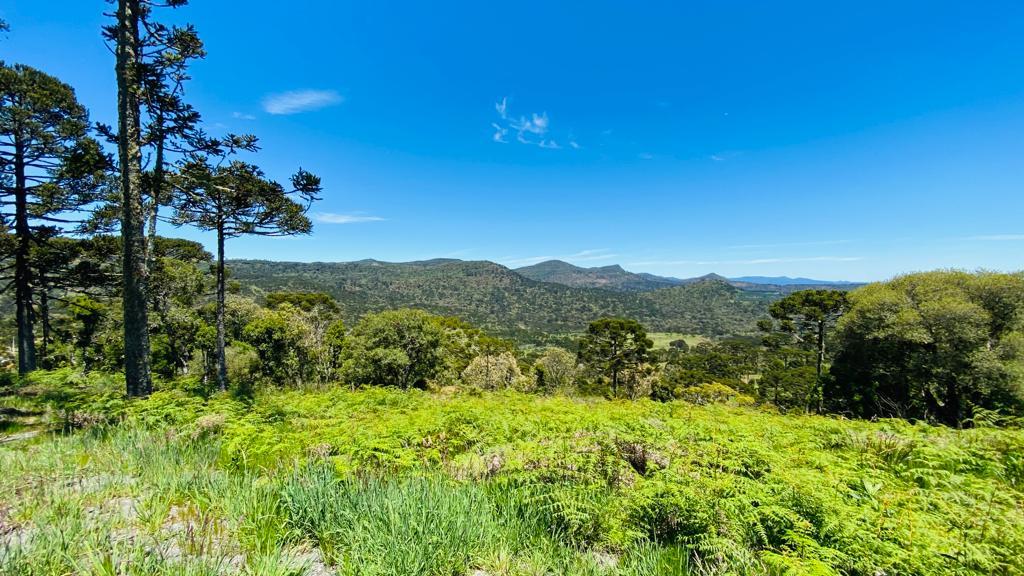 Terreno a Venda - Excelente Localizao - Vista  das Montanhas