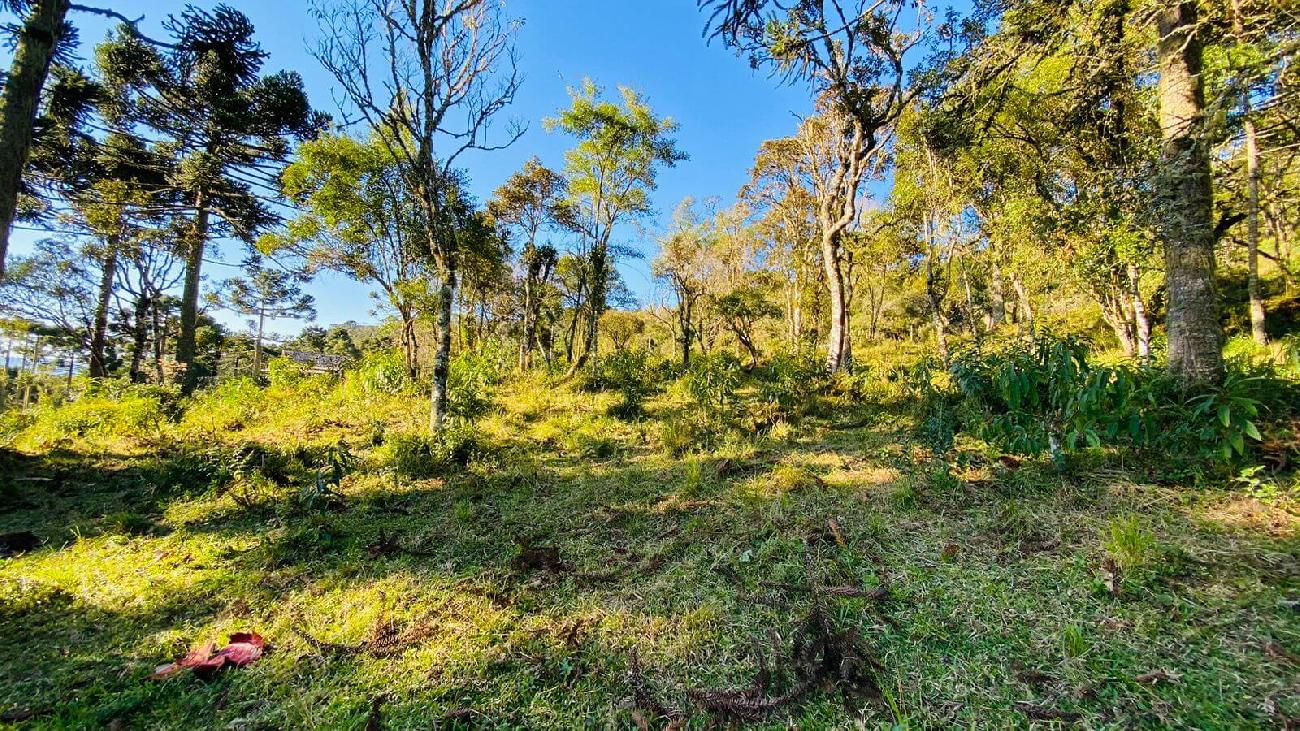 Terreno a Venda - Excelente Localizao - Vista  das Montanhas