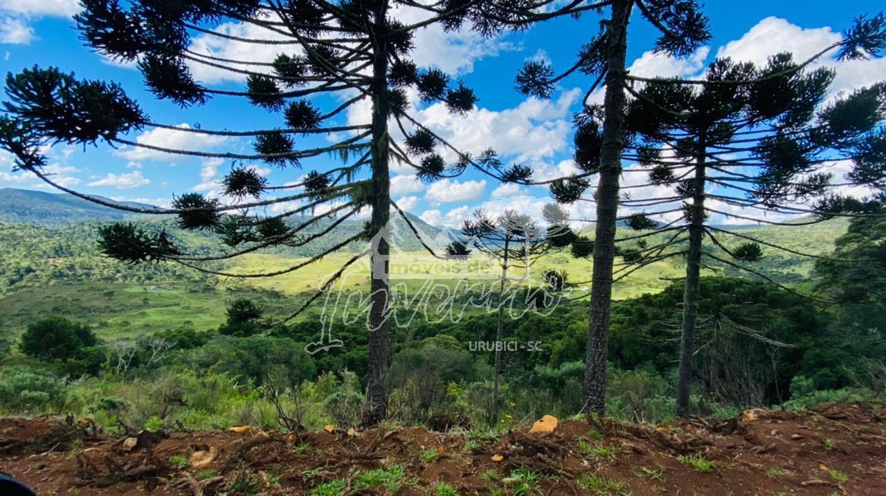 Terreno  Venda - Linda Vista das Montanhas -  Crioulas 