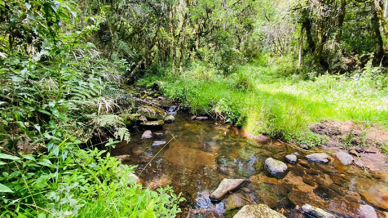 Terreno a Venda - Com gua Corrente - Excelente Localizao 