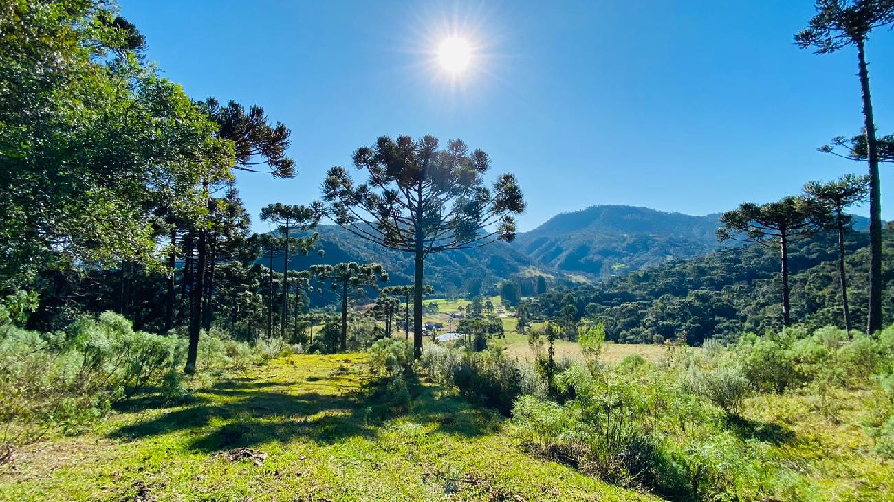 Terreno a Venda - Linda Vista do Vale - Acesso Bom 