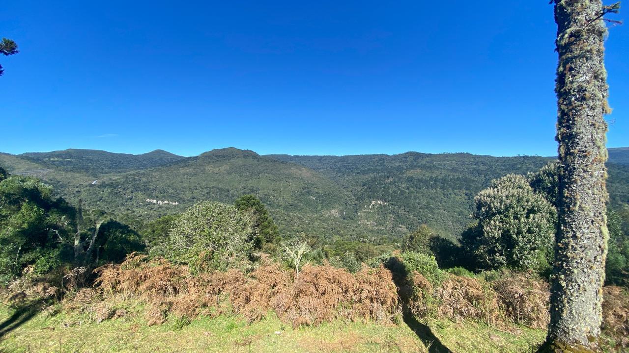 Terreno  venda - Morro da Igreja - Vista para Cachoeira