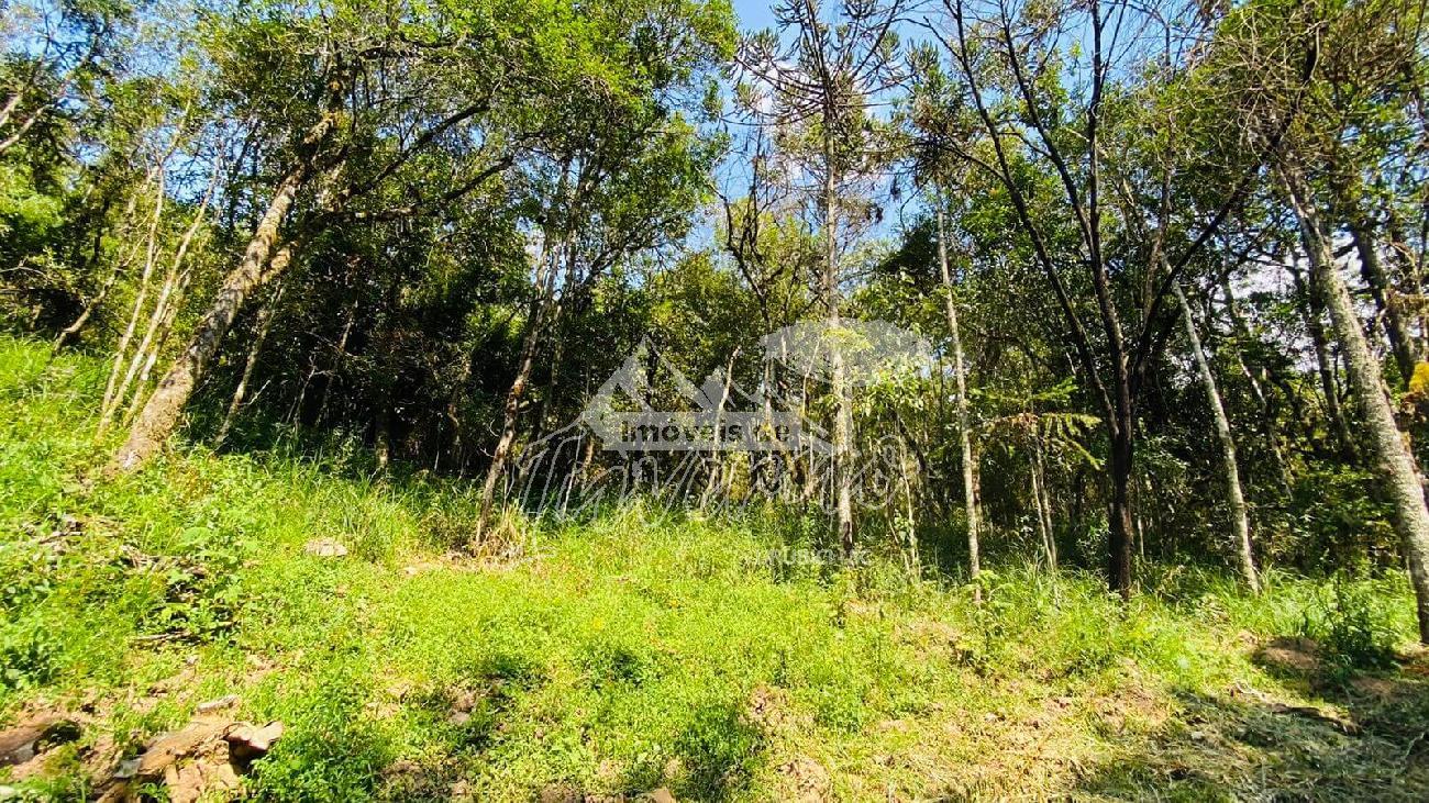 Terreno a Venda - Serra Catarinense - Vista para as Montanhas 