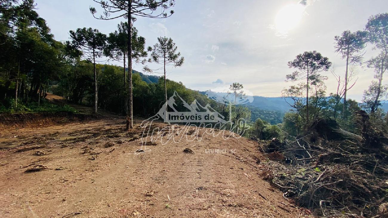 Terreno a Venda - Serra Catarinense -  tima Localizao