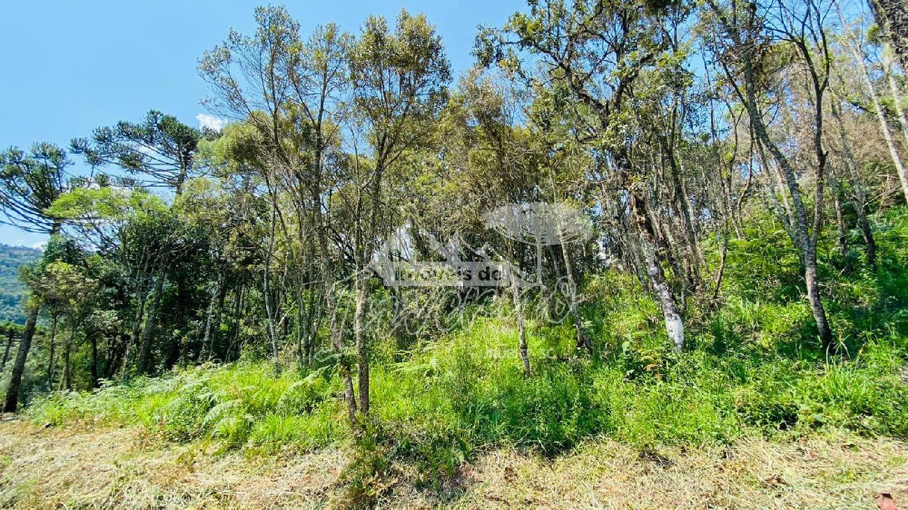 Terreno a Venda - Serra Catarinense - Vista das Montanhas 