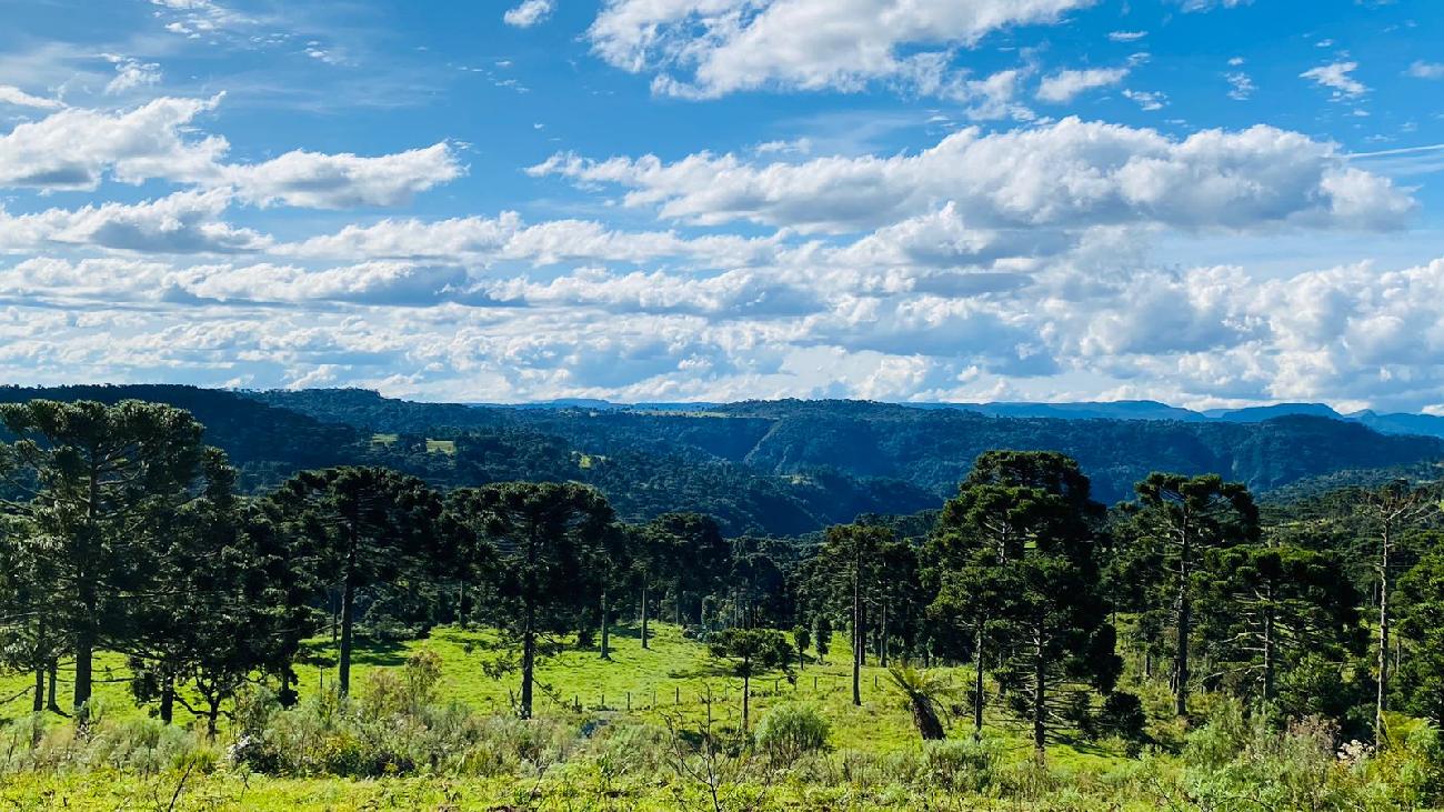 Terreno a Venda - Serra Catarinense - Vista para o Vale