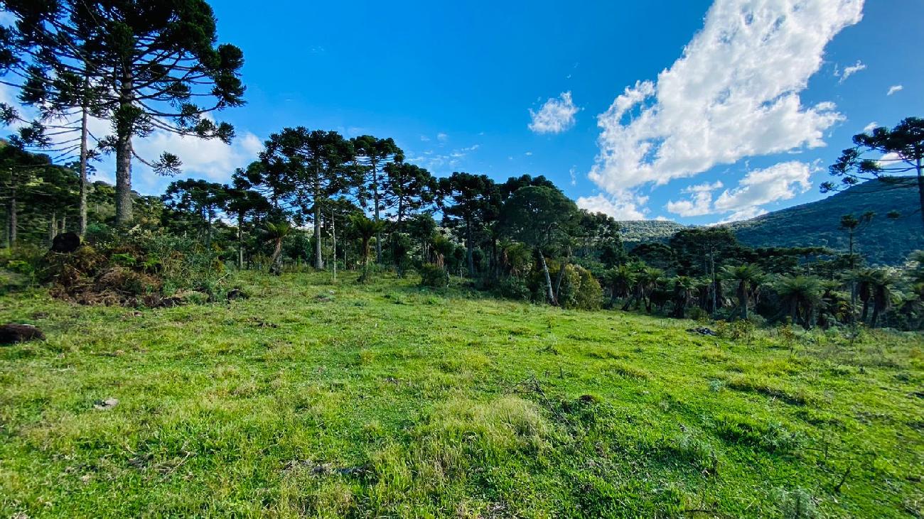 Terreno a Venda - Serra Catarinense - Vista para o Vale e Montanhas