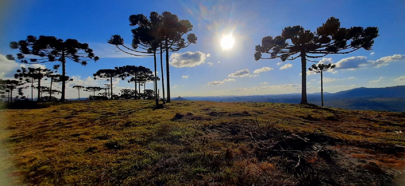 Terreno a Venda - Urubici - tima Localizao - Serra Catarinense 