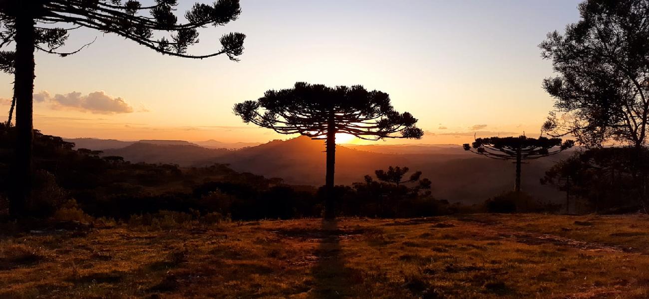 Terreno a Venda - Urubici - tima Localizao - Serra Catarinense 