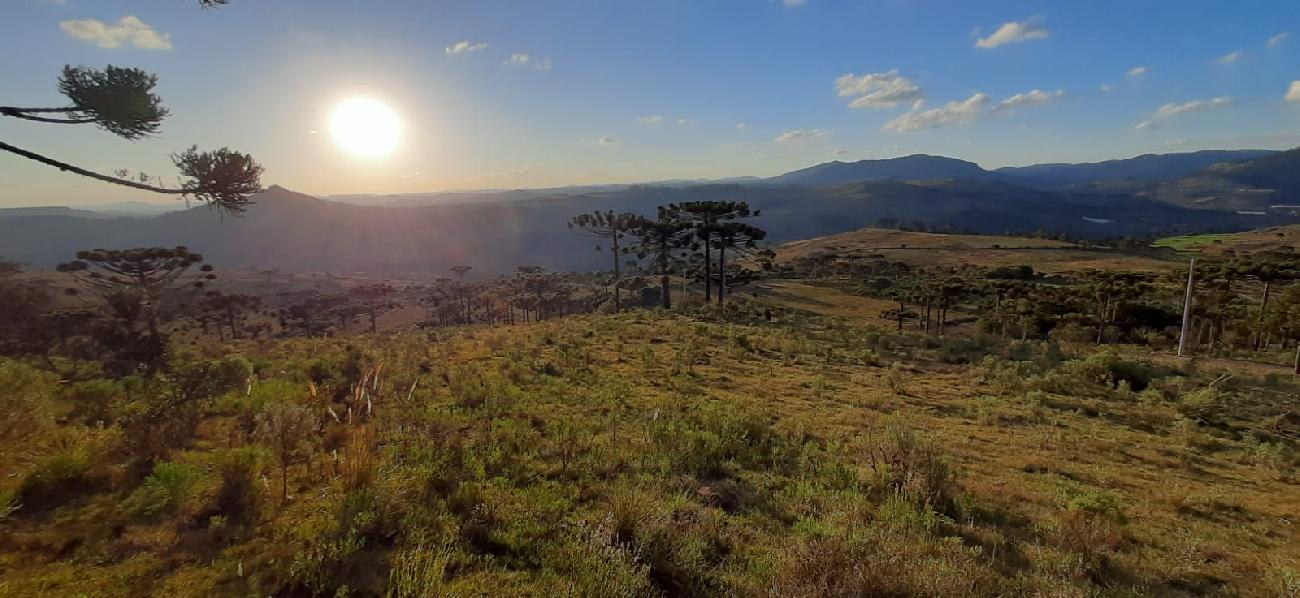 Terreno a Venda - Urubici - tima Localizao - Vista das Montanhas 