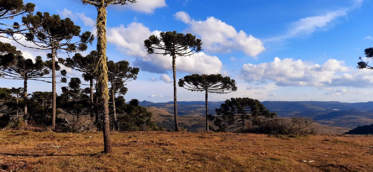 Terreno a Venda - Urubici - tima Localizao - Vista para o Vale 