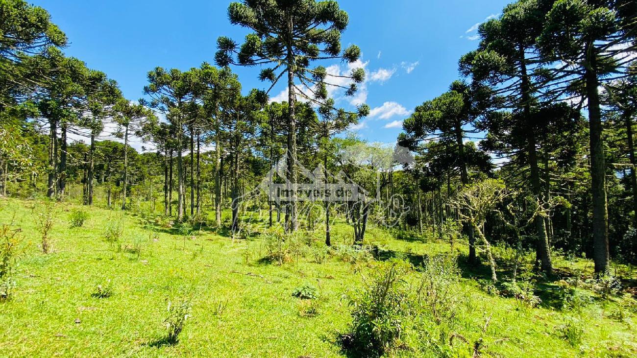 Terreno a Venda - Urubici - Serra Catarinense 