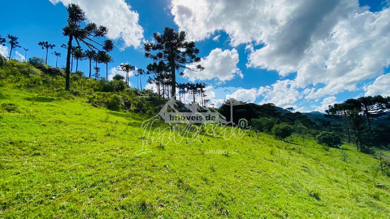 Terreno a Venda - Urubici - Serra Catarinense - Crioulas