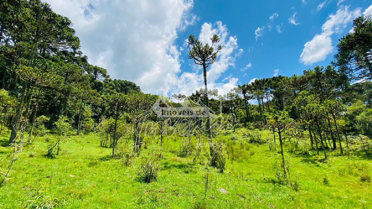 Terreno a Venda - Urubici - Serra Catarinense - So Pedro