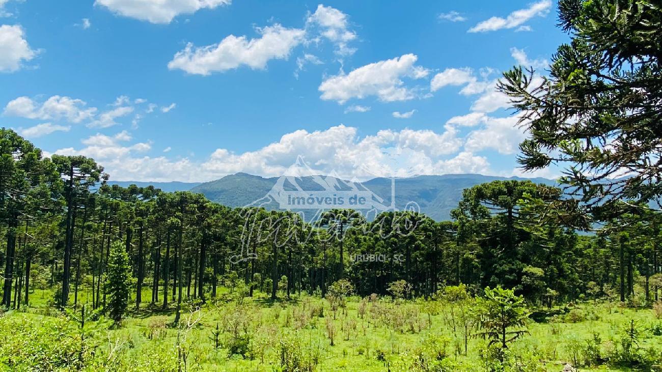 Terreno a Venda - Urubici - Serra Catarinense - Vista das Montanhas 