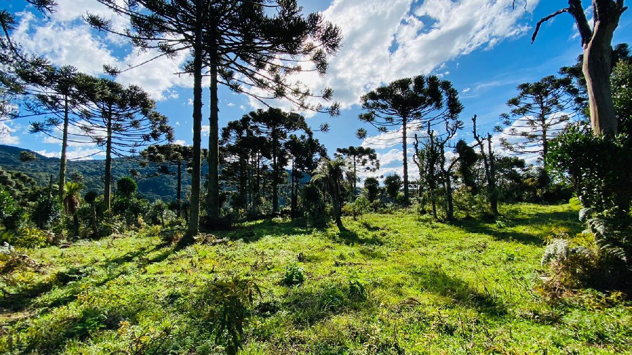 Terreno a Venda - Vista para as Montanhas - Serra Catarinense