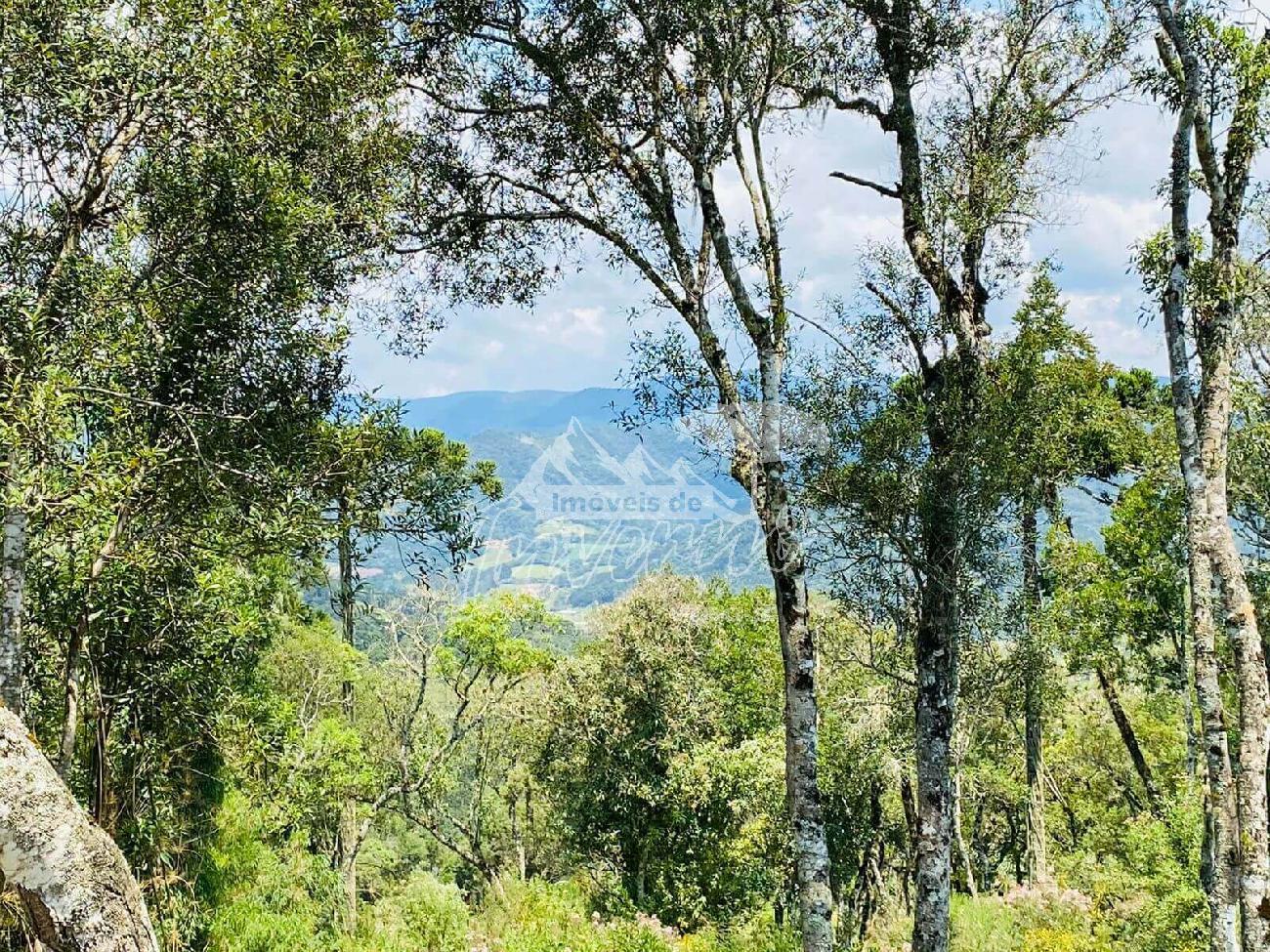 Terreno a Venda - Vista para as Montanhas - Urubici