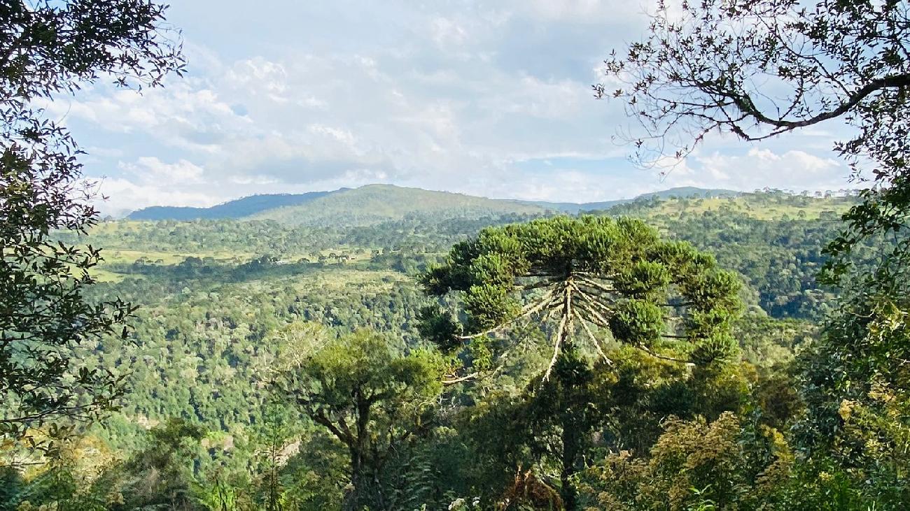 Terreno a Venda - Vista para o Vale 