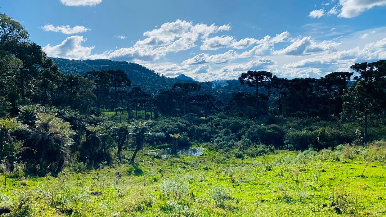 Terreno a Vendo - Linda Vista para o Vale e Montanhas