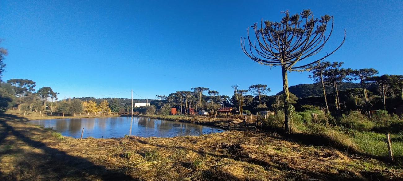 Terreno de dois hectares com casa e cabana  venda