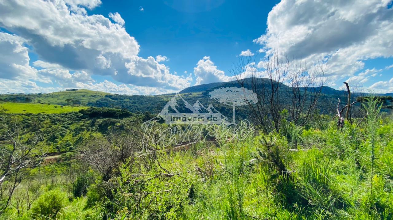 Terrenos a Venda - Crioulas - Excelente Localizao 